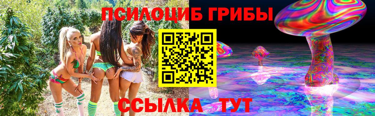 Псилоцибиновые грибы мицелий Тихвин