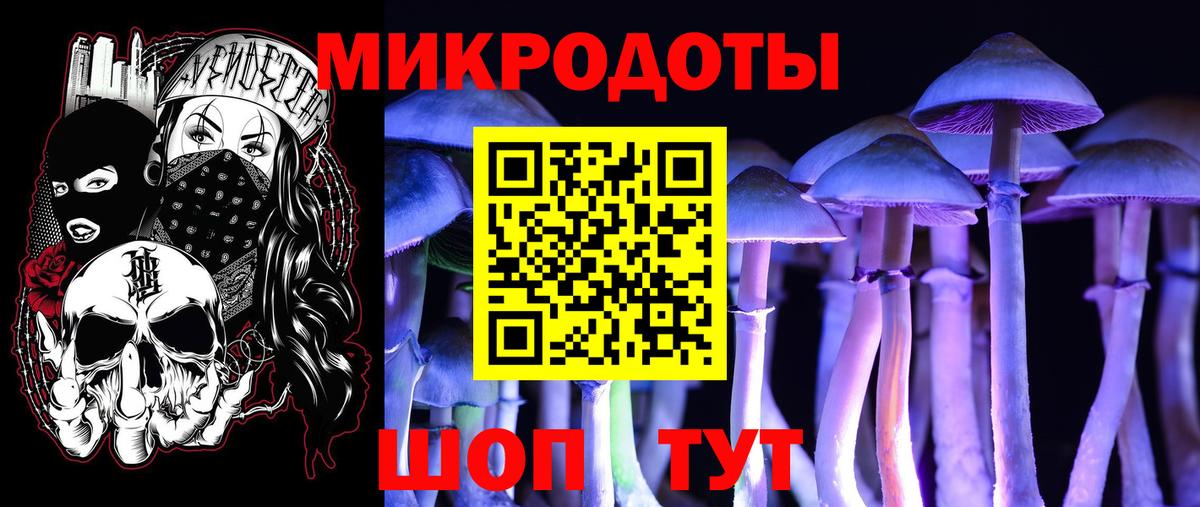 Тихвин  Псилоцибиновые грибы прущие грибы  Вход с VPN 